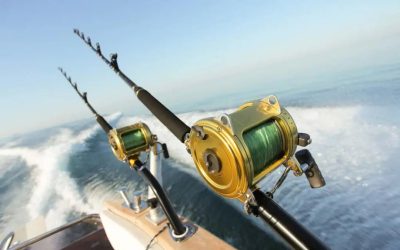 $6.7M Ecommerce Acquisition Closed – Fishing Tackle Company Florida